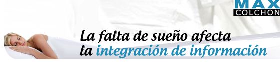 integracion de la informacion