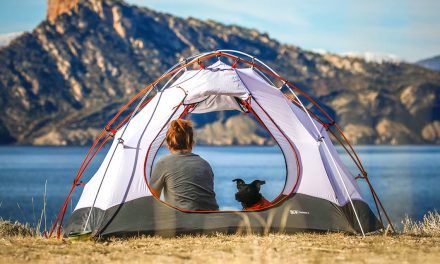 Ir de camping puede reducir tus problemas de sueño
