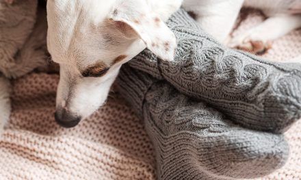 Cómo evitar los pies fríos en la cama: 7 trucos para entrar en calor