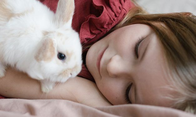 Cómo duermen los conejos